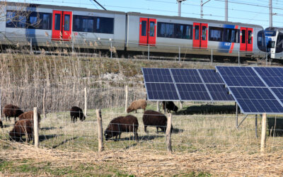 Zonnepanelen tussen het groen