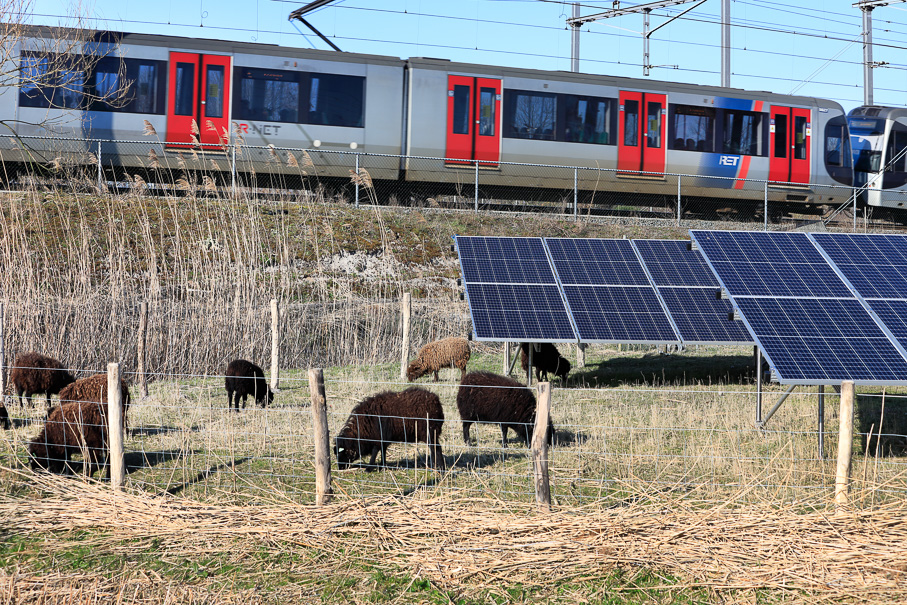 Zonnepanelen tussen het groen