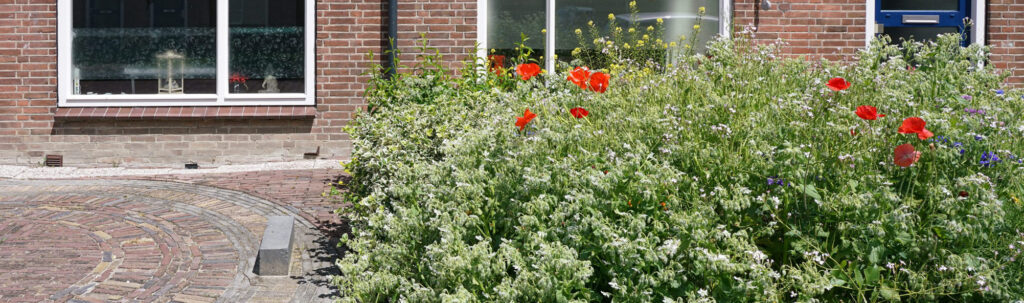 Contrast groene tuin en een tuin met stenen