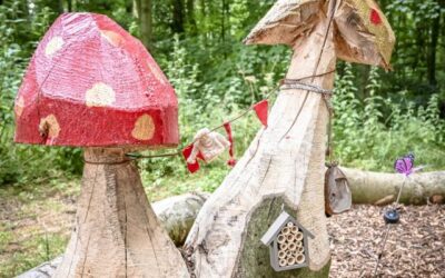 Paddenstoelen op de Kabouterroute Schollebos (foto: Jan Kok)