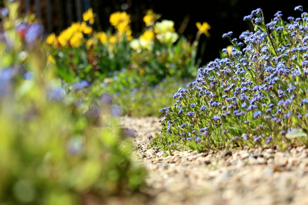 Tuinpad met grind en bloemen