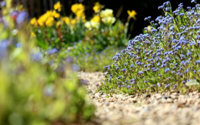 Tuinpad met grind en bloemen
