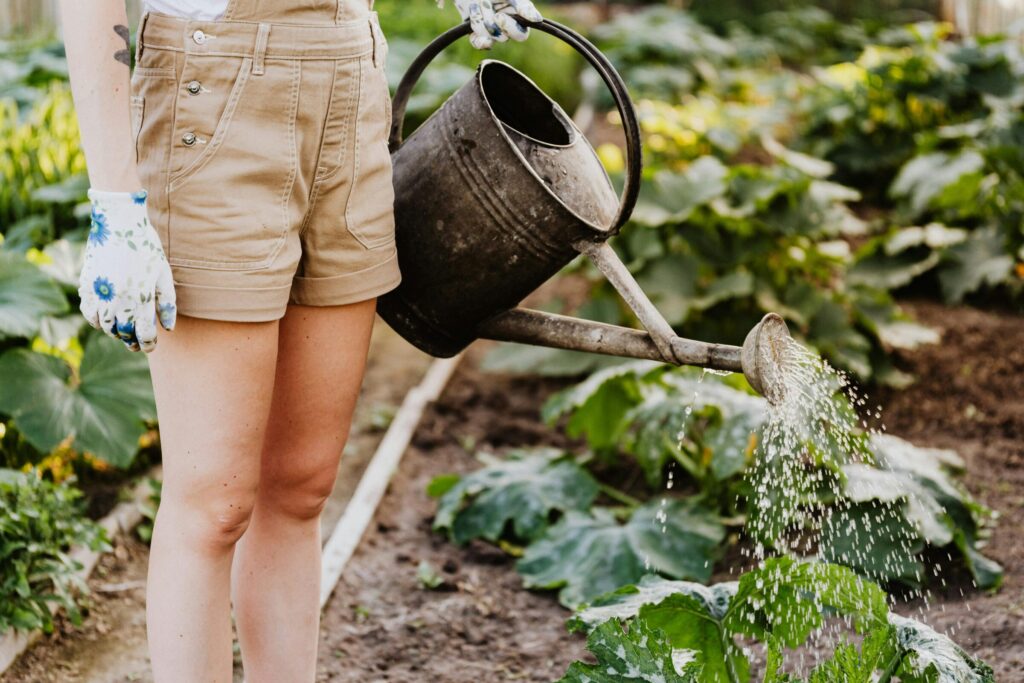 Met gieter planten water geven