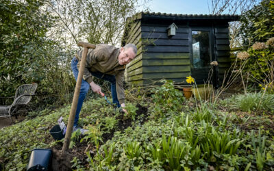 Wethouder plant plantjes in de tuin