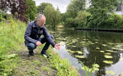 Martin Braal laat zien hoe groen de natuurvriendelijkere oevers zijn