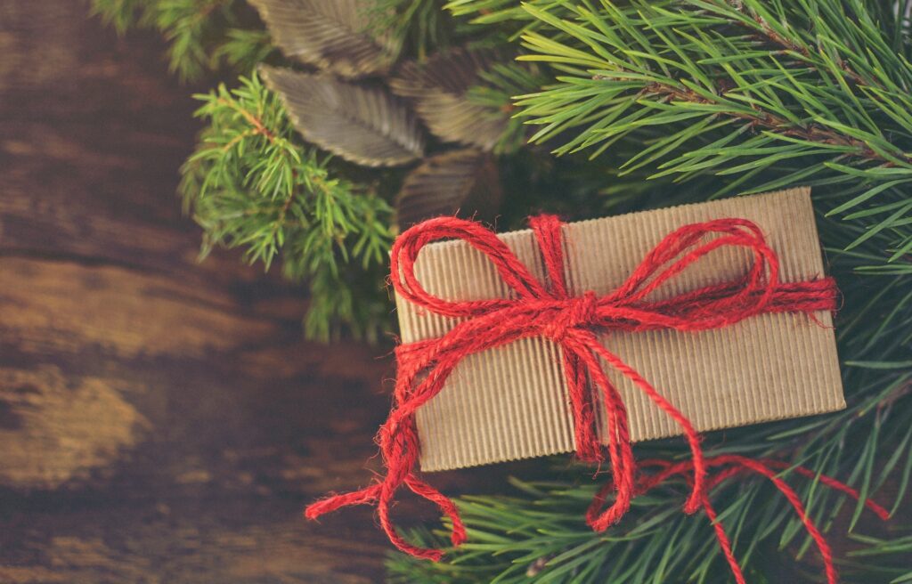 Ingepakt cadeau onder kerstboom