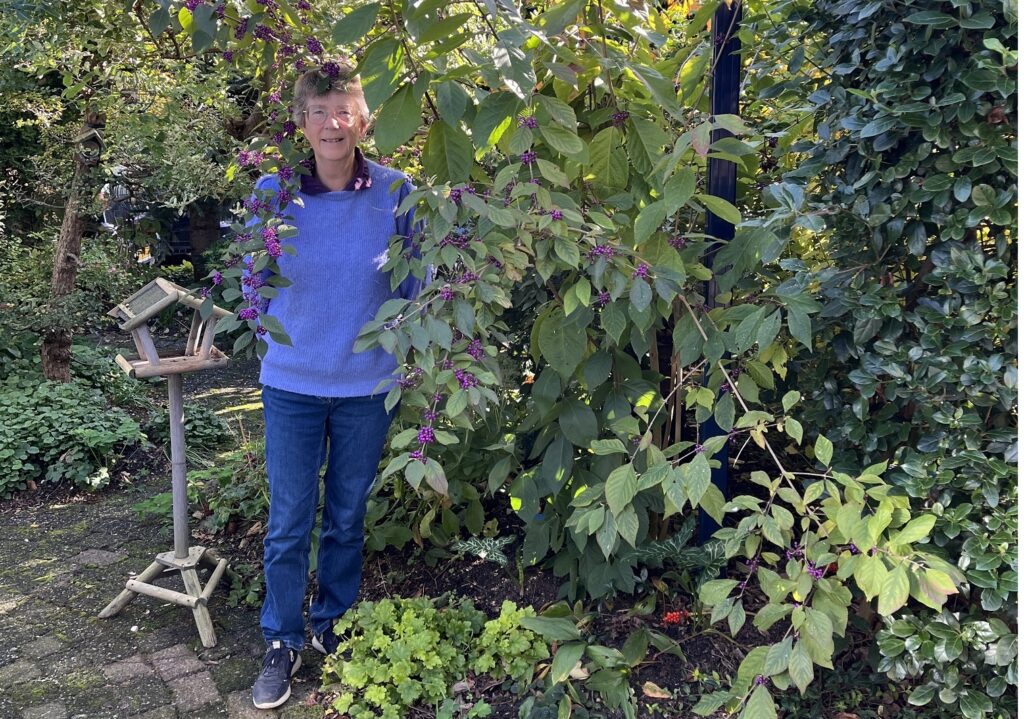 Anjenneke in de tuin met een vogelvriendelijke plant en voederplaats voor vogels