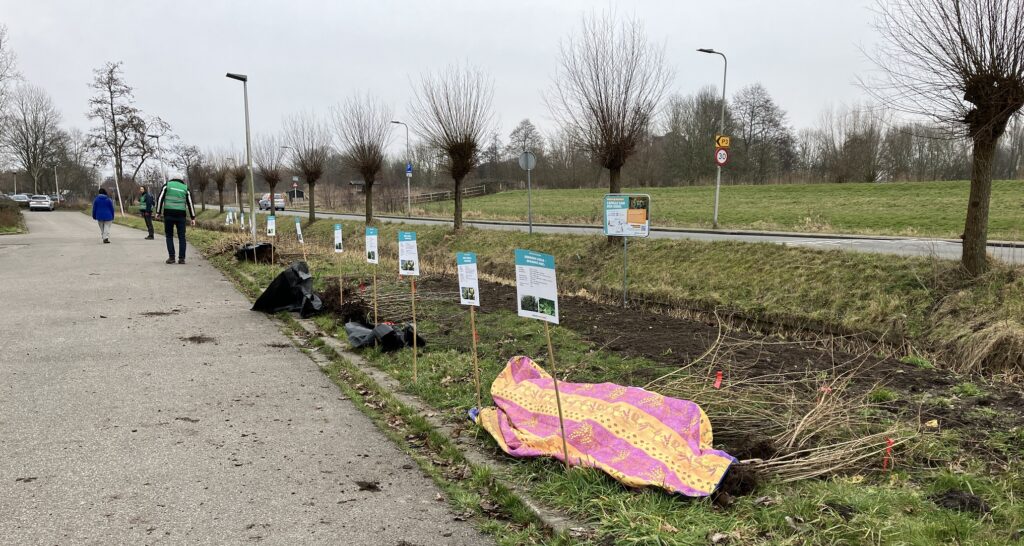 Zaailingen liggen gesorteerd op een rijtje naast elkaar. Met een bordje erbij met daarop meer informatie per soort.