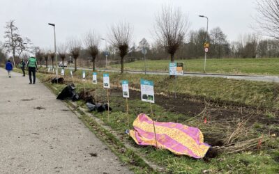 Zaailingen liggen gesorteerd op een rijtje naast elkaar. Met een bordje erbij met daarop meer informatie per soort.
