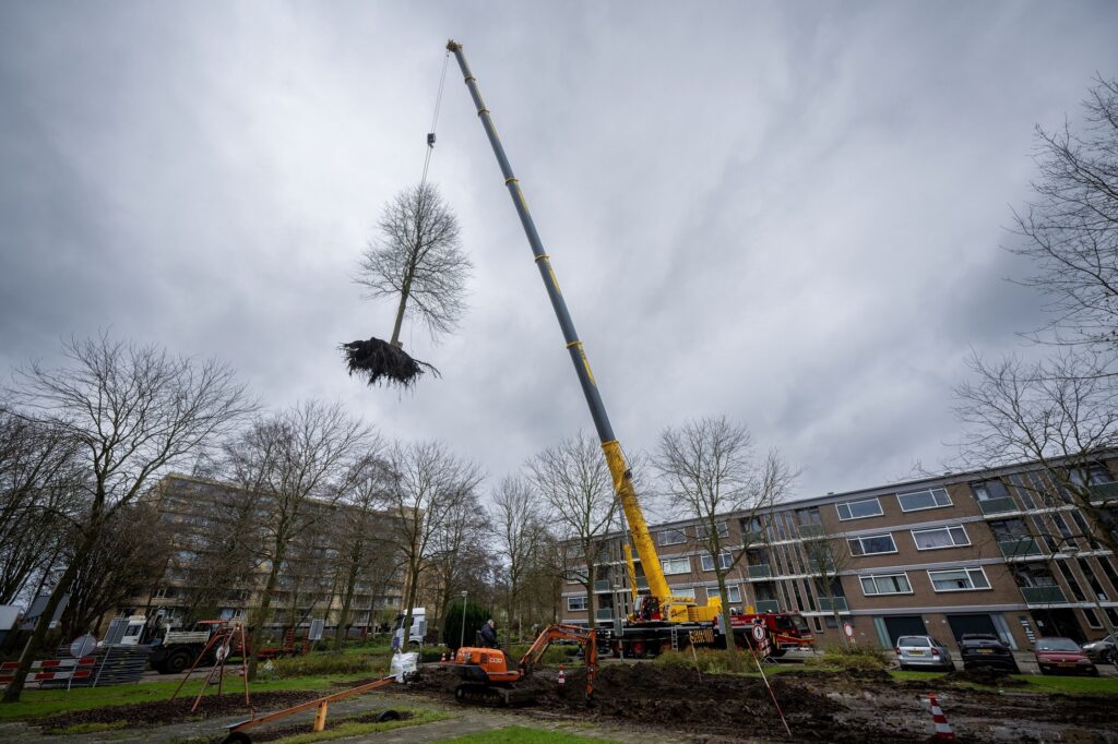 Verplaatsen boom met hijskraan.