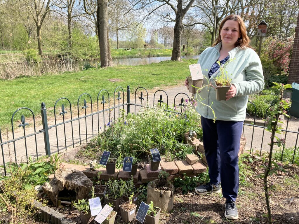Capellenaar laat zien waar de planten uit het Tuiny Bloeipakket terecht komen.