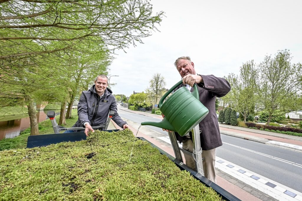 Wethouders Sjoerd Geissler en Rik van Woudnberg werken aan het groene dak van een nieuw bushokje met toegankelijke halte
