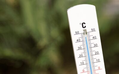 Thermometer geeft meer dan 40 graden aan.
