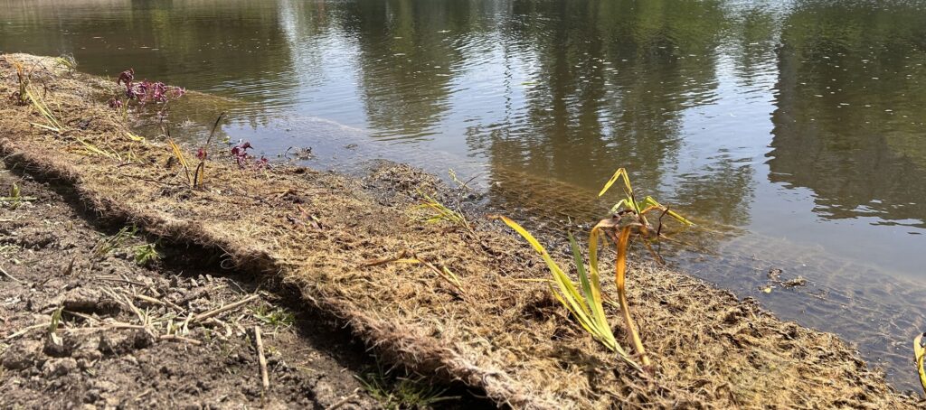 Mat met planten(zaden) erin langs een sloot