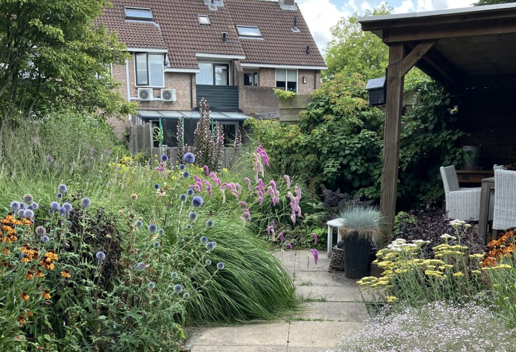 Tuin met een pad, overkapping en veel verschillende planten.