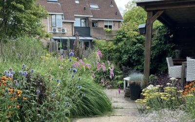Tuin met een pad, overkapping en veel verschillende planten.