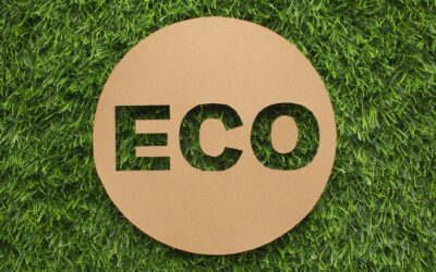 De tekst ECO met op de achtergrond gras.