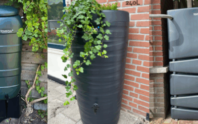 Tiny Ton, Kingston, Powerwall regenton. Van links naar rechts op een rij.