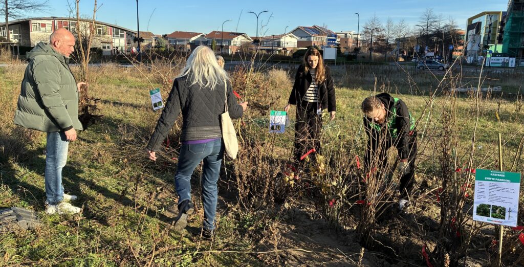 Capellenaren zoeken zaailingen uit voor hun eigen tuin