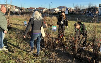 Capellenaren zoeken zaailingen uit voor hun eigen tuin