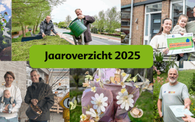 Compilatie van verschillende foto's uit dit jaar.