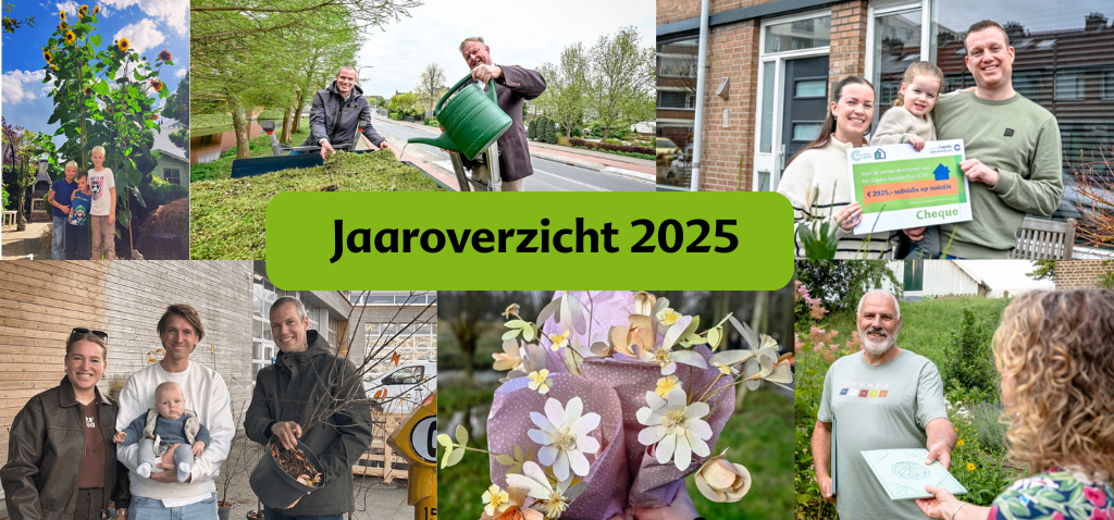 Compilatie van verschillende foto's uit dit jaar.