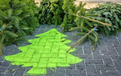 Kerstbomen bij het inleververzamelpunt. Dat is te herkennen aan een felgroen geverfde kerstboom op een parkeervlak.