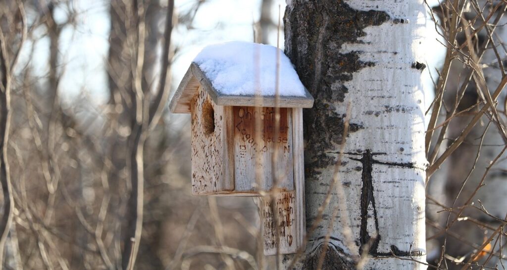 Vogelhuisje met sneeuw erop.