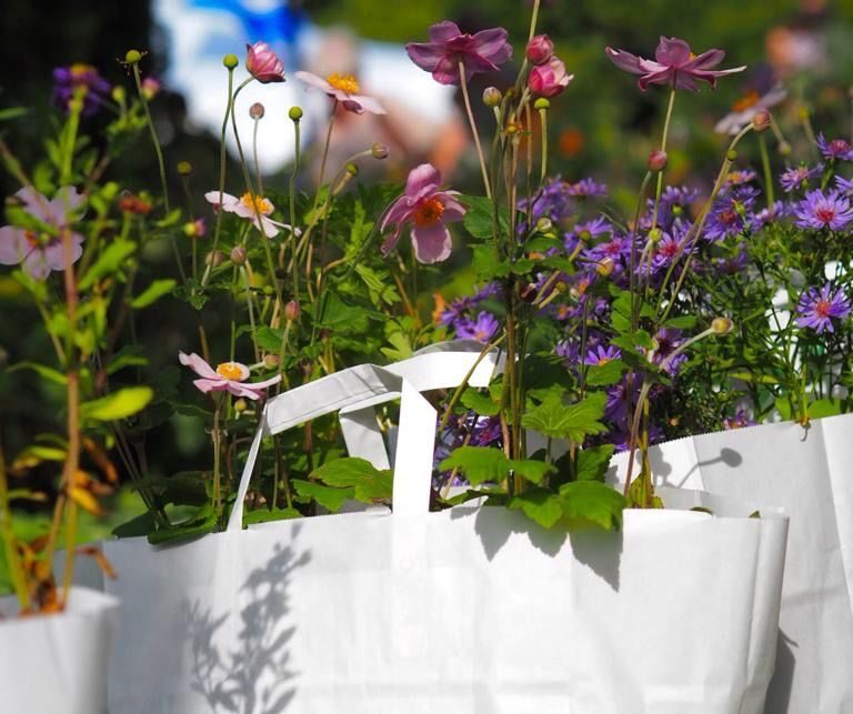 Voorbeeld van het plantenpakket.