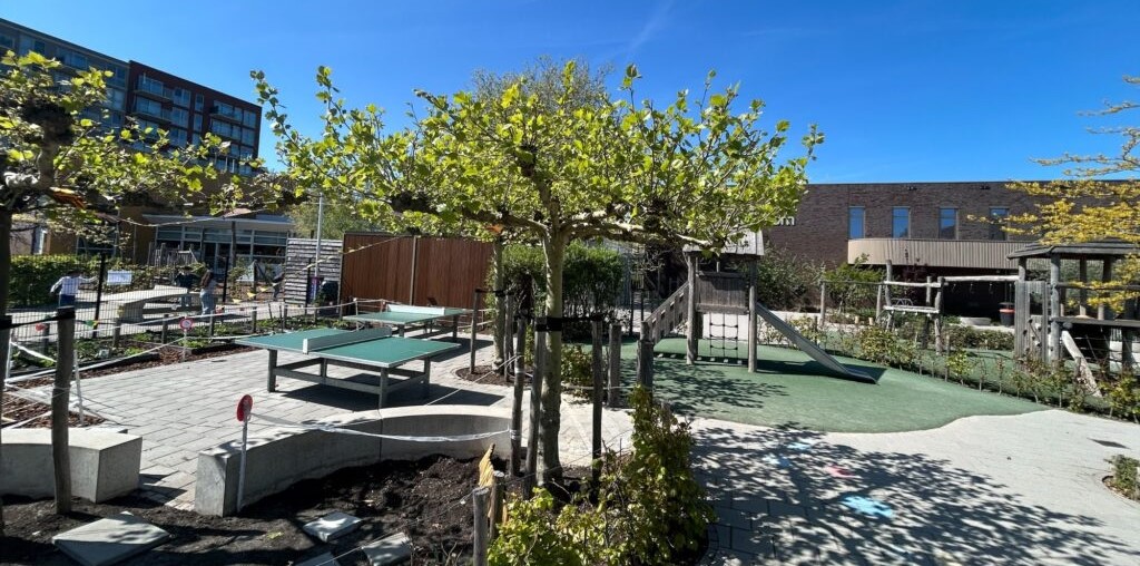 Schoolplein met ruimte voor groen en water