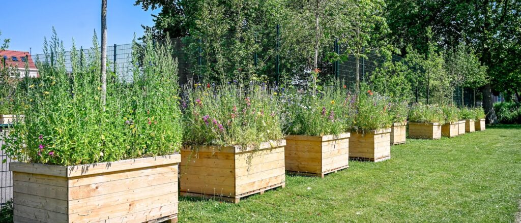 Houten bakken op een rij met daarin jonge bomen en veel bloemen.