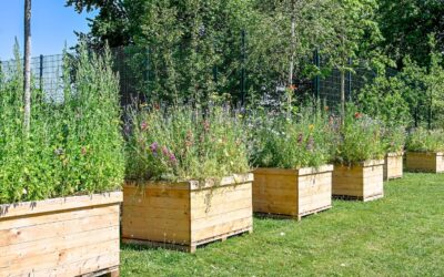 Houten bakken op een rij met daarin jonge bomen en veel bloemen.