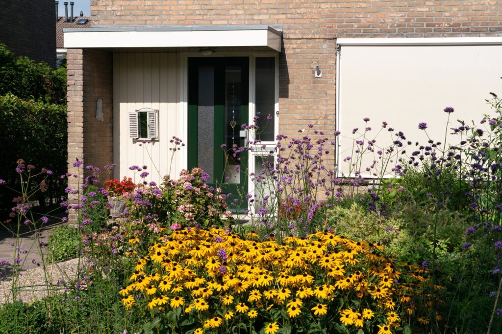 Groene tuin op een zonnige dag