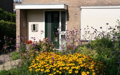 Groene tuin op een zonnige dag