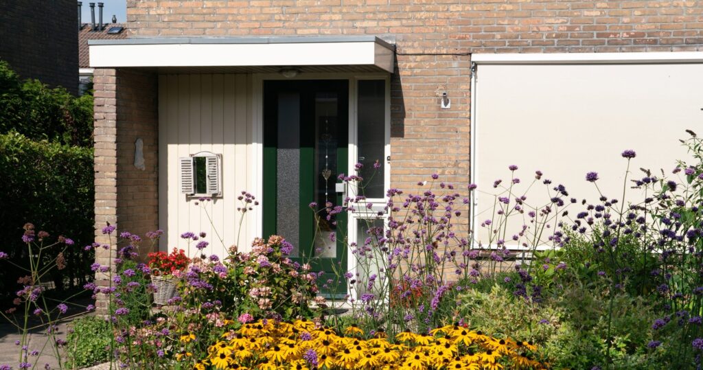 Groene tuin op een zonnige dag