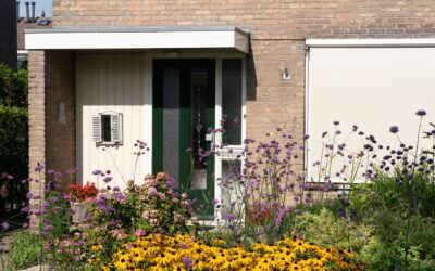 Groene tuin op een zonnige dag