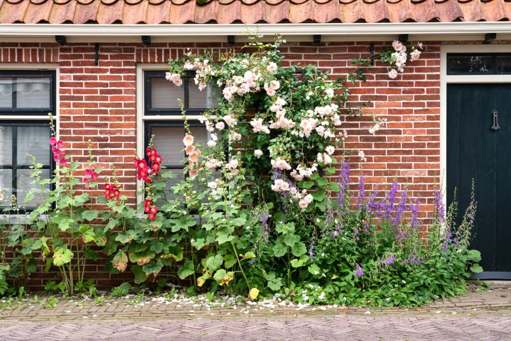 Bloeiende tuin
