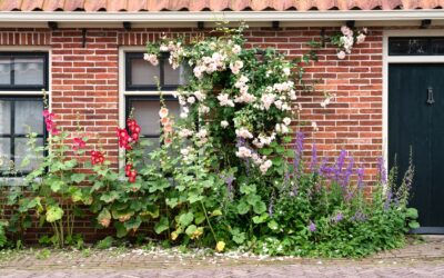Bloeiende tuin