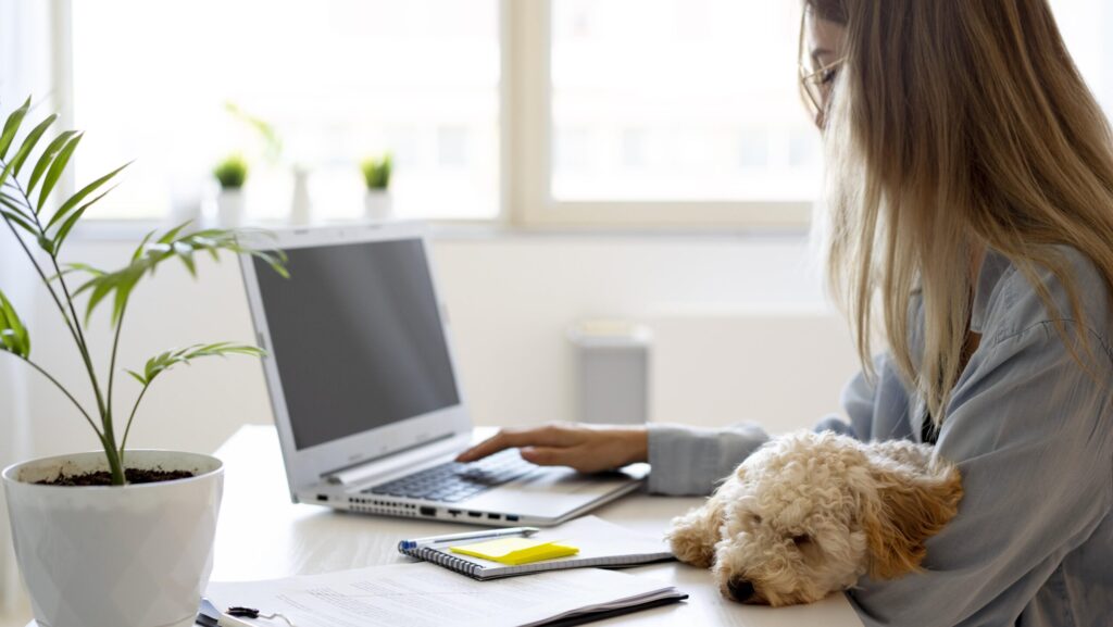 Blonde vrouw zit aan tafel met haar laptop. Haar hondje zit bij haar op schoot.