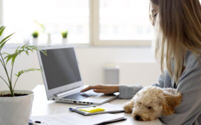 Blonde vrouw zit aan tafel met haar laptop. Haar hondje zit bij haar op schoot.