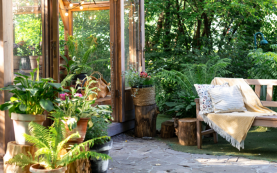 Tuin met groen, bankje en kas